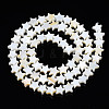 Natural Freshwater Shell Beads Strands SHEL-S278-01A-01-2