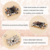 HOBBIESAY 2Pcs Alloy Rhinestone Shoe Buckle Clips AJEW-HY0001-65B-4