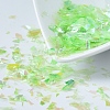 Plastic Candy Sequins/Paillette Chip DIY-I019-01H-1