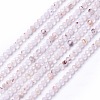 Natural Quartz Crystal Beads Strands G-L581A-003A-1