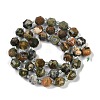 Natural Rhyolite Jasper Beads Strands G-O201B-122F-4