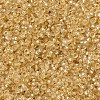 MIYUKI Round Rocailles Beads X-SEED-G007-RR0002-3