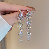 Alloy Rhinestone Tassel Dangle Earrings FS-WG3A30F-01-1
