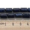 Natural Lapis Lazuli Beads Strands G-M420-E02-03-5