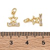 Brass Micro Pave Clear Cubic Zirconia Charms CU-CBAF0F8-16I-G-3