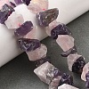 Natural Rose Quartz & Amethyst Beads Strands G-I283-F10-1
