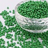 8/0 Glass Seed Beads SEED-US0003-3mm-47-1