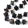 Natural Indian Agate Beads Strands G-Q608-07A-05-4