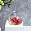 Clear Glass Dessert/Cake Cloche Dome Display Cases ODIS-WH0029-30-4