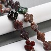 Natural Indian Agate Beads Strands G-P520-A04-01-2