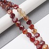 Natural Red Agate Beads Strands G-K359-C13-01-2