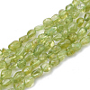 Natural Peridot Beads Strands G-S339-15-1
