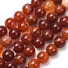 Natural Striped Agate/Banded Agate Bead Strands G-K166-13-10mm-08-2