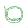 Natural Chrysoprase Beads Strands G-O172-06-2