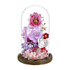 Arch Glass Dome Cover AJEW-WH0596-866D-01-1