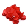 3m Clover Paper Pull Flowers LS-AJEW-WH0022-11B-3