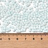 Opaque Colours Luster Glass Seed Beads SEED-B001-01A-02-4