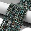 Natural Chrysocolla Beads Strands G-G140-A06-03-2