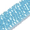 Electroplate Glass Beads Strands LS-EGLA-A035-J6mm-A04-1