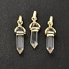 Natural Quartz Crystal Double Terminal Pointed Pendant G-H097-01G-02-2