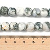 Natural Tree Agate Beads Strands G-C267-A18-5