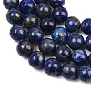 Natural Lapis Lazuli Beads Strands G-S333-10mm-013-7