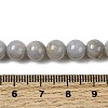 Natural Gemstone Beads Strands G-L641-A01-01-5