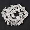 Natural Quartz Crystal Beads Strands G-Q023-A02-01-3