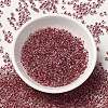 12/0 Transparent Glass Seed Beads SEED-F003-03C-03-2