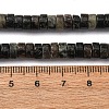 Natural Biotite Beads Strands G-L624-I12-3x6mm-5