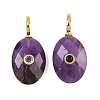 Natural Amethyst Pendants G-F837-05E-1