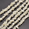 Natural White Mother of Pearl Shell Chip Bead Strands X-G-M205-63-1