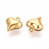 304 Stainless Steel Charms X-STAS-N118-12G-2