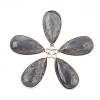 Natural Labradorite Pendants G-S344-51C-1