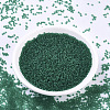 MIYUKI Round Rocailles Beads X-SEED-G007-RR0147F-2