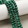 Natural Malachite Beads Strands G-A271-A01-6mm-1