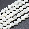 Natural White Shell Beads Strands SSHEL-P015-01A-8mm-1