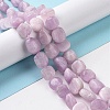 Natural Kunzite Beads Strands G-A208-01A-2