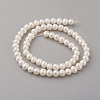 Natural Cultured Freshwater Pearl Beads Strands PEAR-G007-32-2