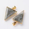 Faceted Triangle Natural Labradorite Big Pendants X-G-M294-03-2