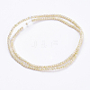 Electroplate Glass Beads Strands GLAA-F078-FR08-2