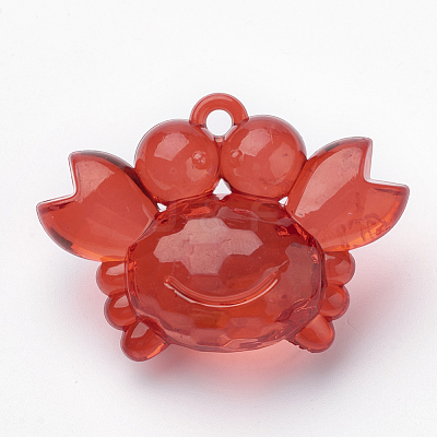 Transparent Acrylic Pendants TACR-T002-14-1