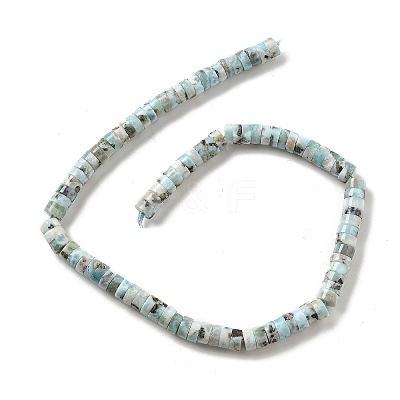 Natural Larimar Beads Strands G-Q024-B03-05-1