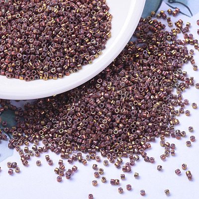 MIYUKI Delica Beads Small SEED-JP0008-DBS1013-1