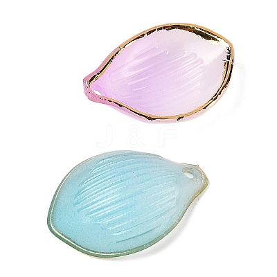 Gradient Color Transparent Acrylic Pendants TACR-F009-09-1