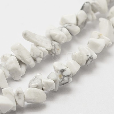Natural Howlite Beads Strand G-F328-05-1
