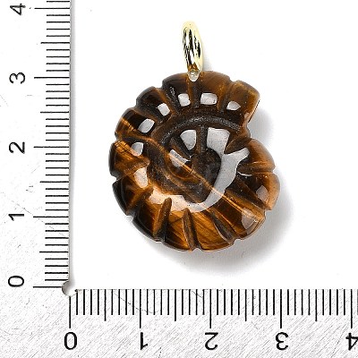 Natural Tiger Eye Pendants G-A287-01G-04-1