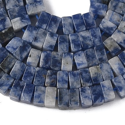 Natural Blue Spot Jasper Beads Strands G-A280-C06-01-1