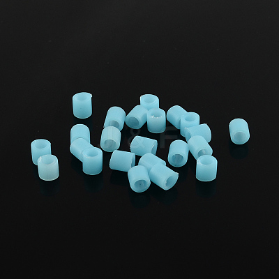 PE Fuse Beads X-DIY-R013-30-1