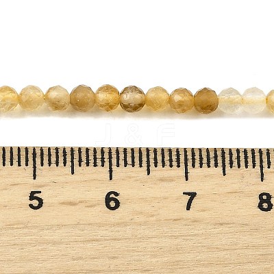 Natural Citrine(Heated) Beads Strands G-G259-D03-3mm-1